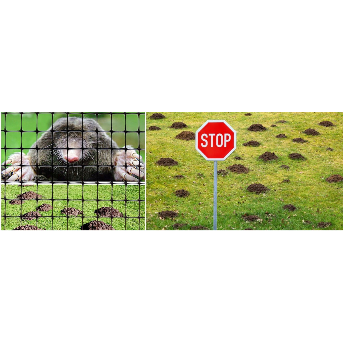 Plasă de calitate împotriva cârtițelor, dimensiune 2x50 m, extra rezistentă, 30 g/m2