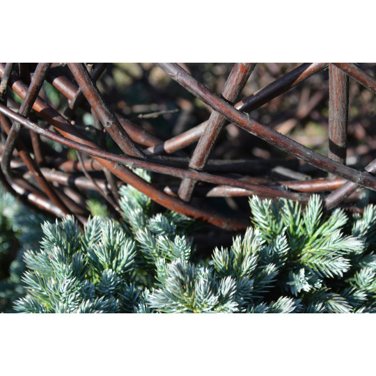 Bola de grădină 40 cm