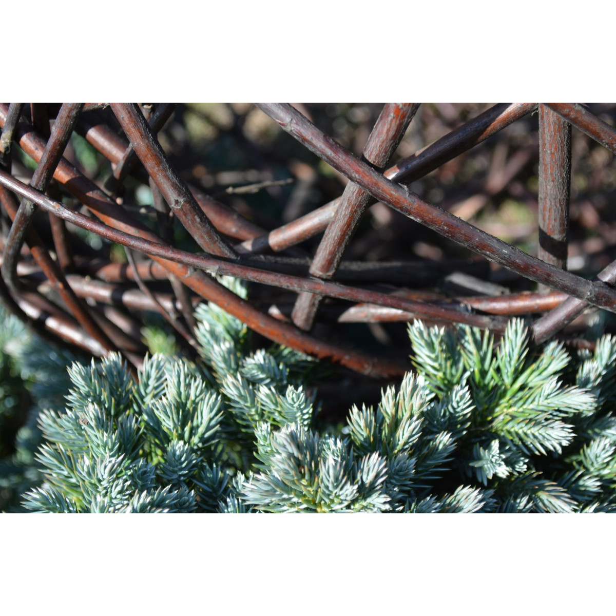 Bola de grădină 40 cm