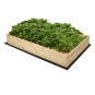 Grădină cu un pat natural ridicat cu dimensiunile de 120x120x20 cm