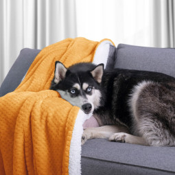 Împărătești cu două fețe în alb cu frunze 140x200 cm