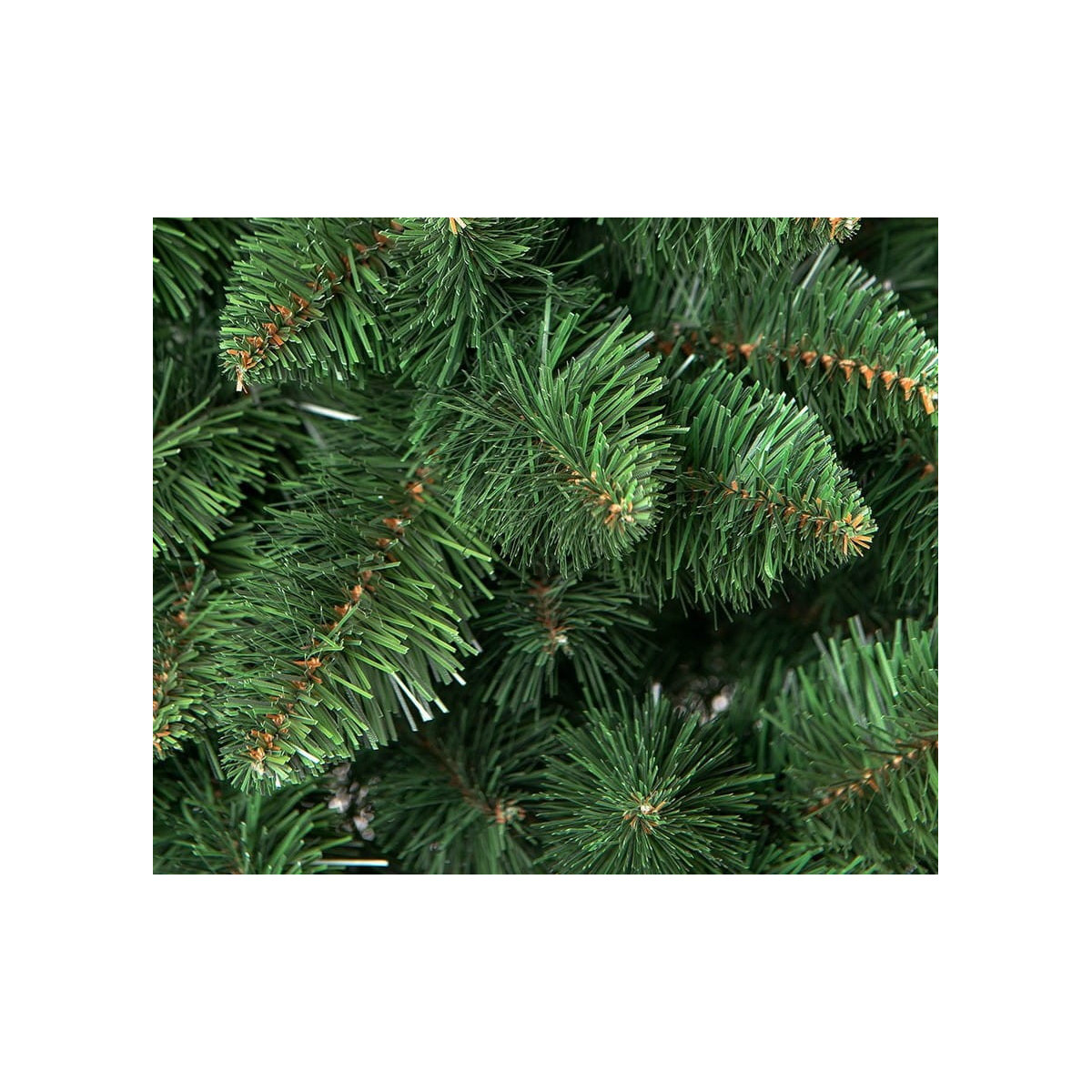 Pom Christmas brad na trunchi 180 cm