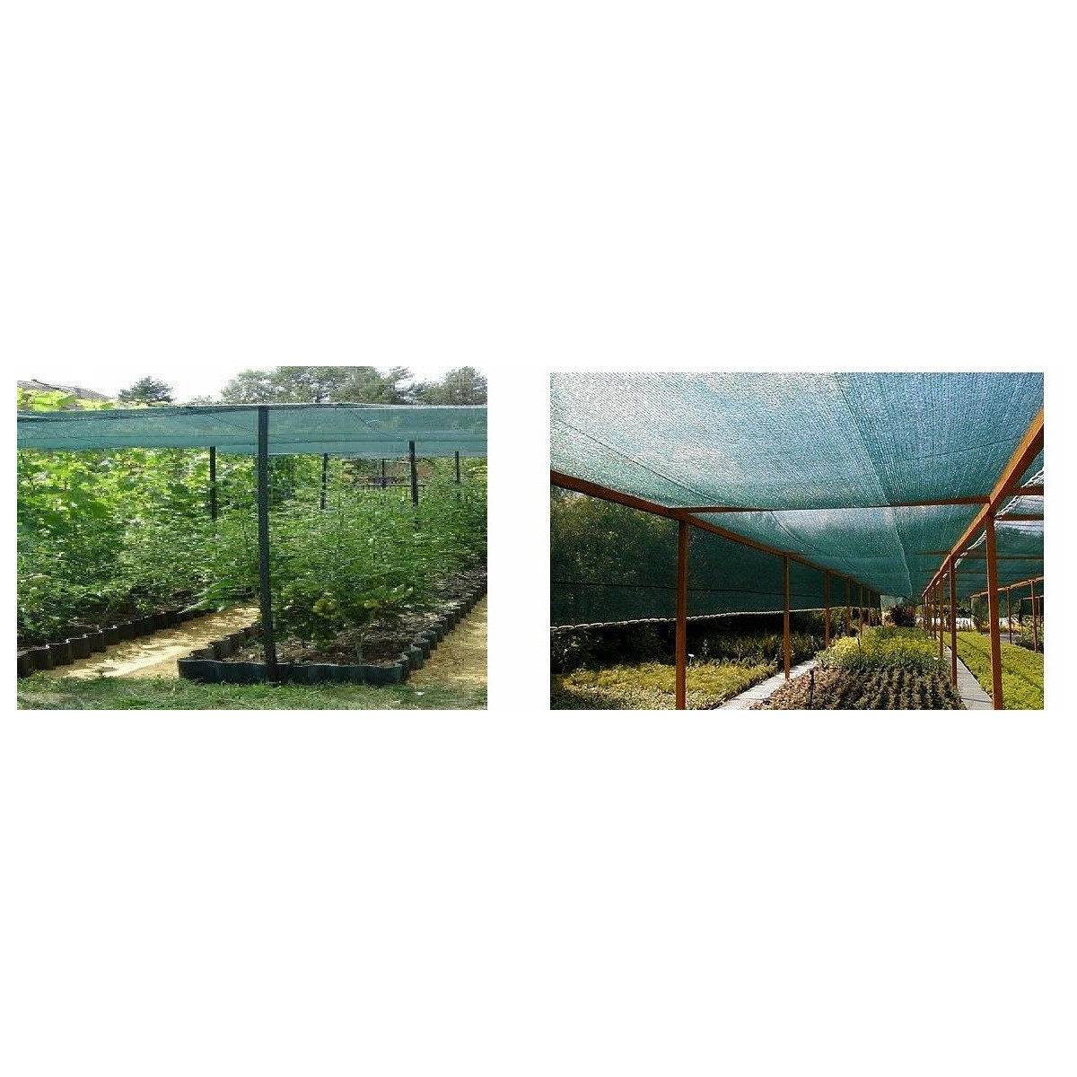 Rețea de umbrire cu 62% întunecare de culoare verde
