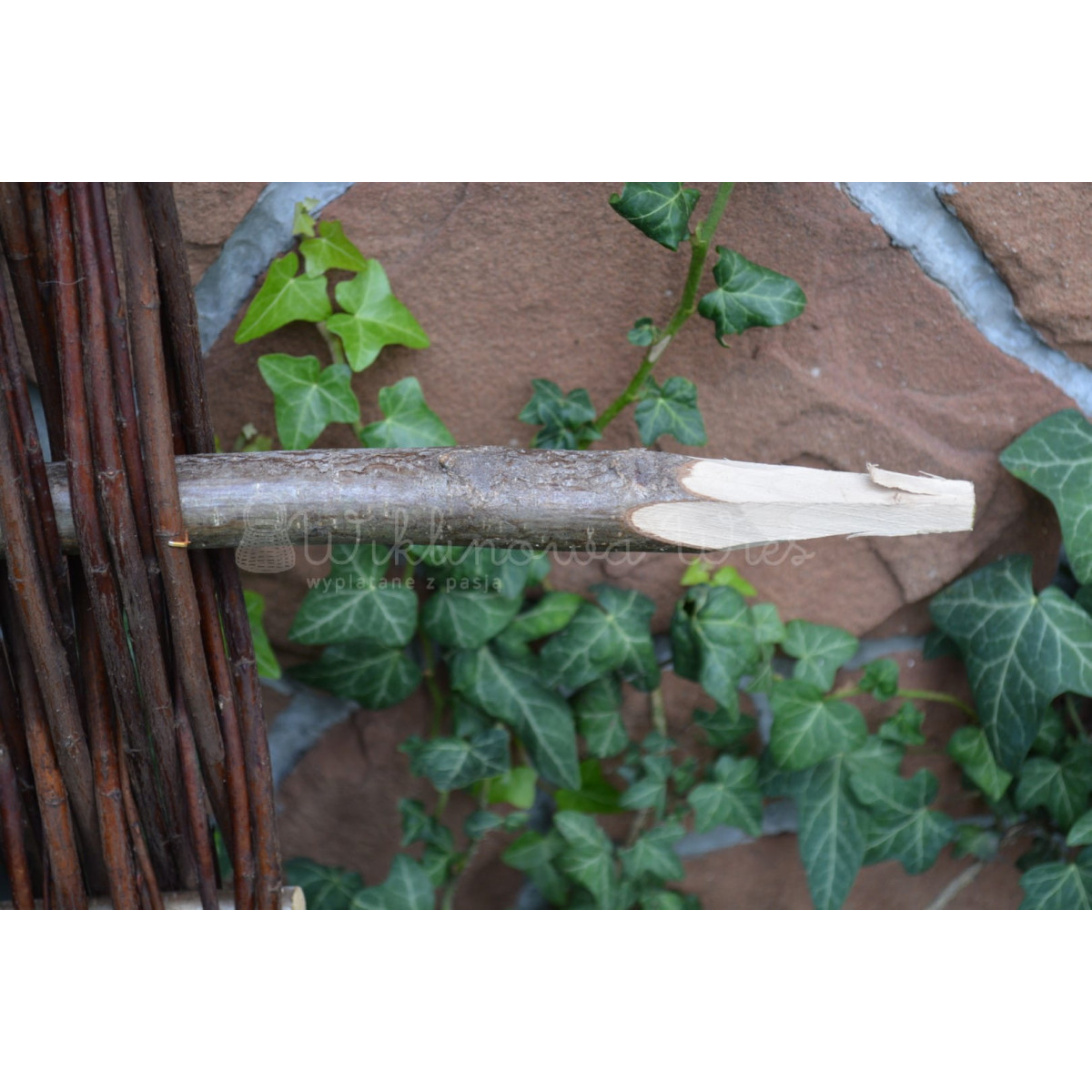 Palisade din nuiele cu dimensiunea 20/50