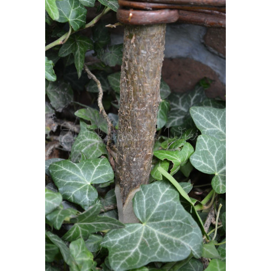 Palisade din vârteje cu dimensiunea 15/120