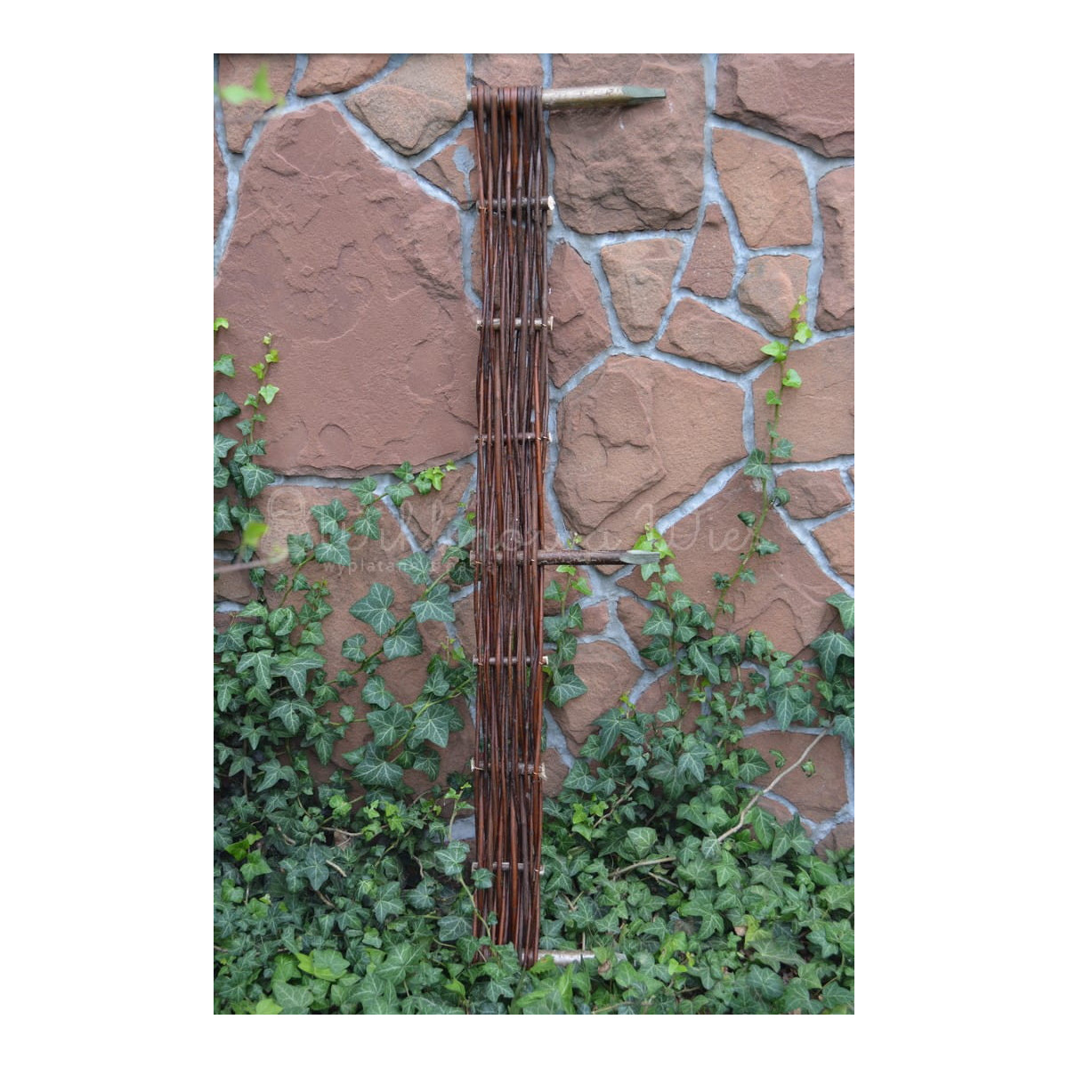 Palisáde din nuiele cu dimensiunea 10/120
