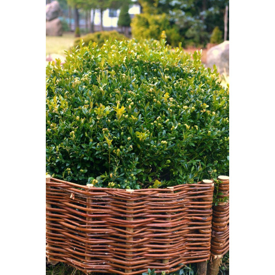 Palisadă rotundă din rattan 20/45cm