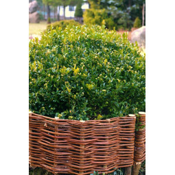 Cercle din răchită cu palisade, cu diametrul de 45 cm și înălțimea de 20 cm