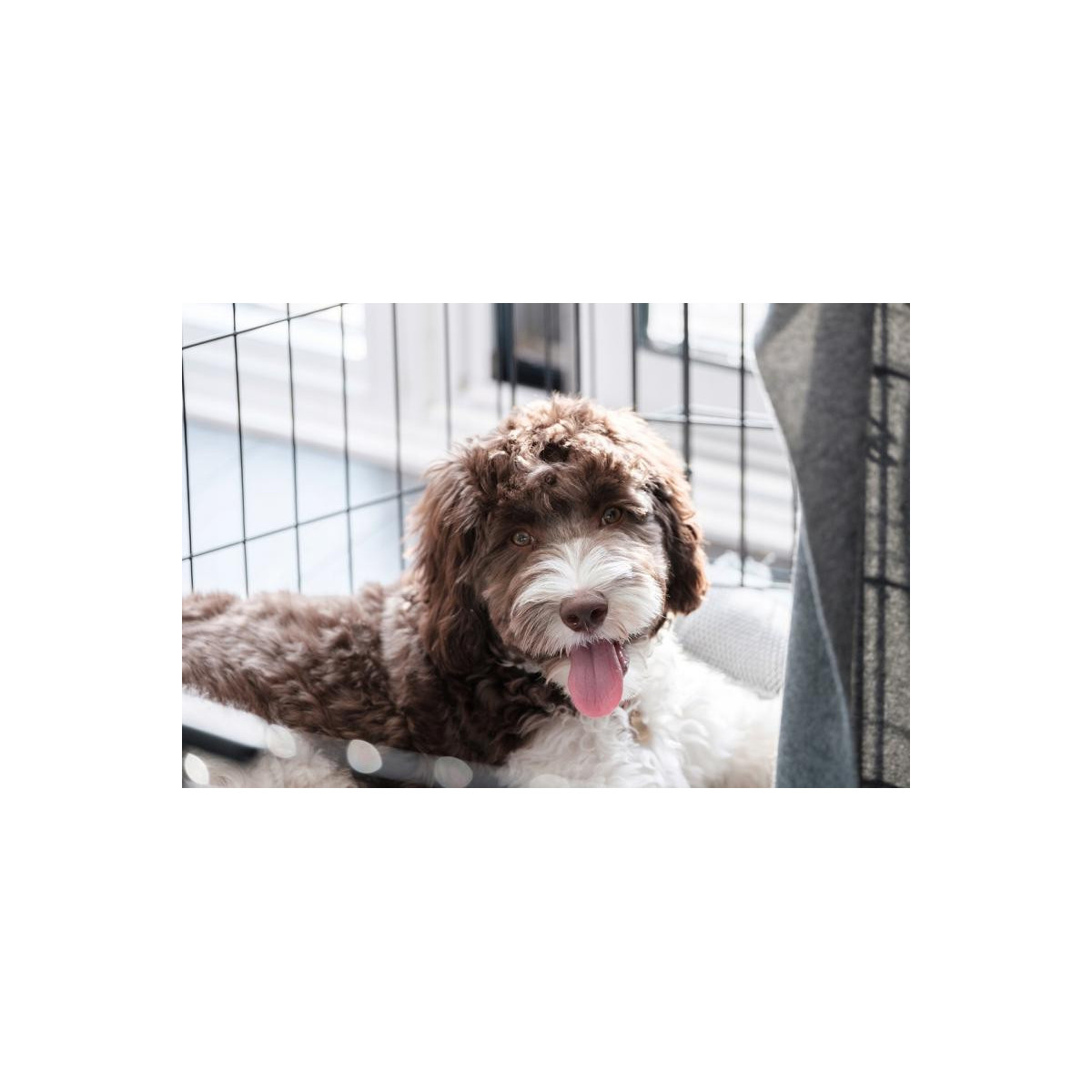 Klietka pre psy a mačky "M", 91x57x63,5 cm