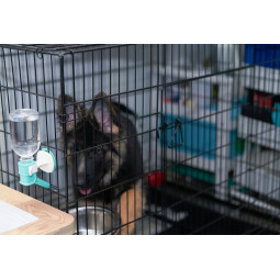 Klietka pre psy a mačky "M", 91x57x63,5 cm