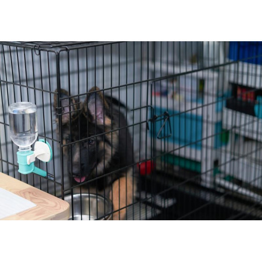 Klietka pre psy a mačky "M", 91x57x63,5 cm