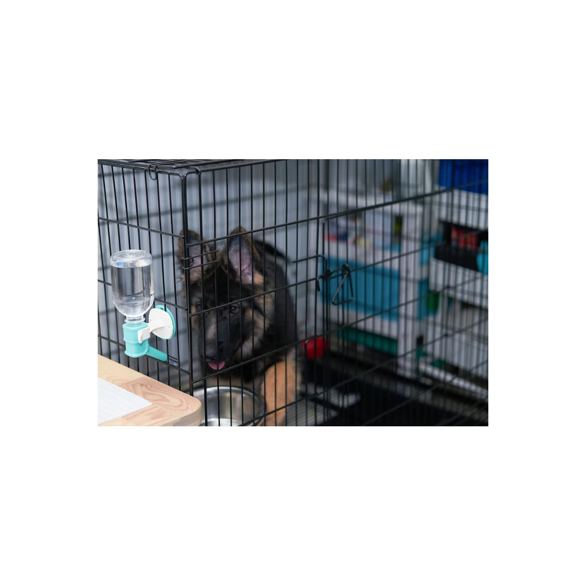 Klietka pre psy a mačky "M", 91x57x63,5 cm
