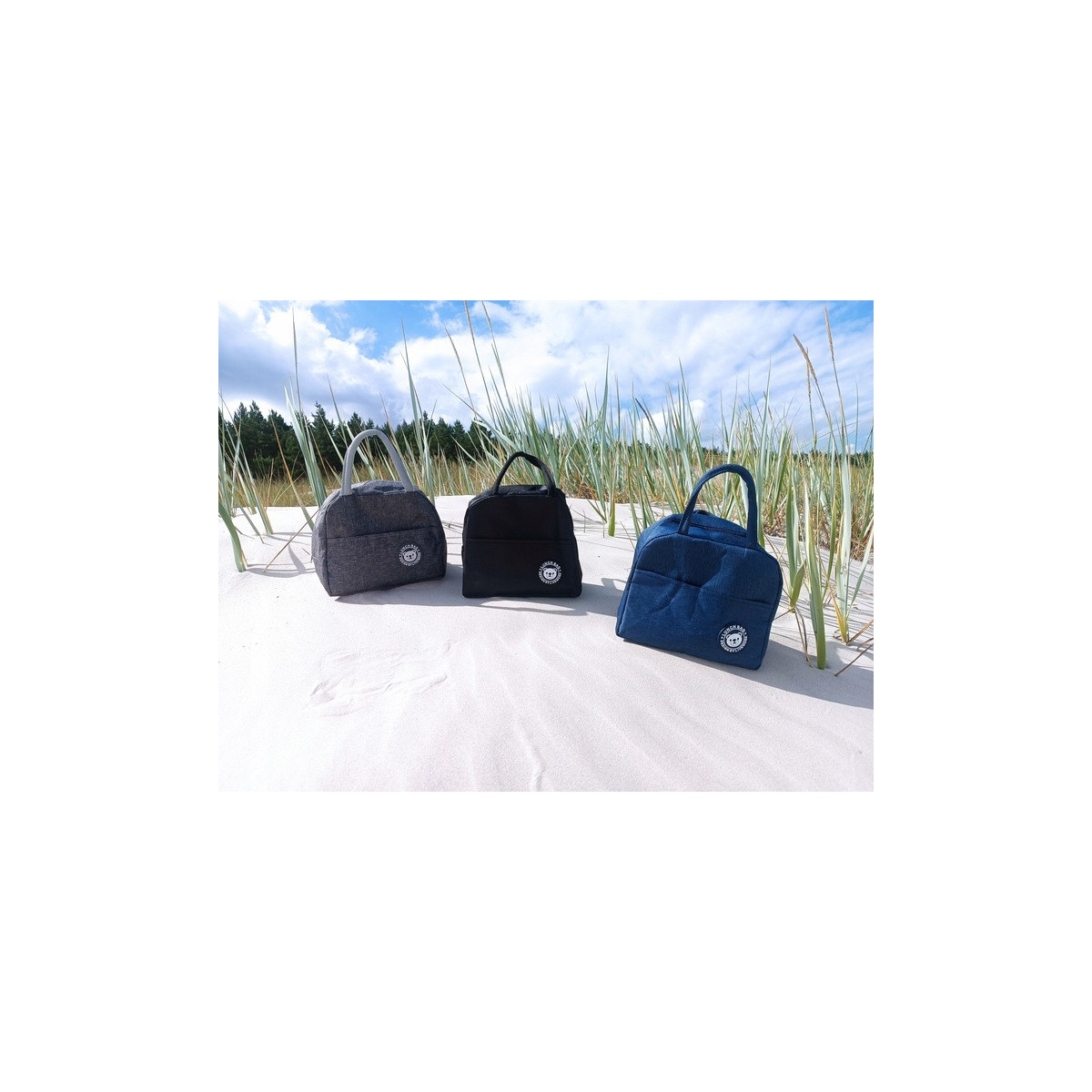 Termo geantă de picnic cu o capacitate de 4L în culoarea gri