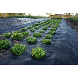 Mască agricolă neagră 70g/m 1,6x100m