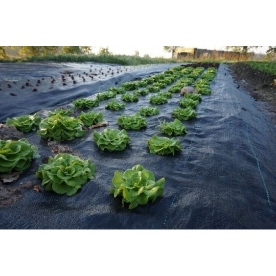 Agrotextil de culoare neagră 90g/m 1,1x100m