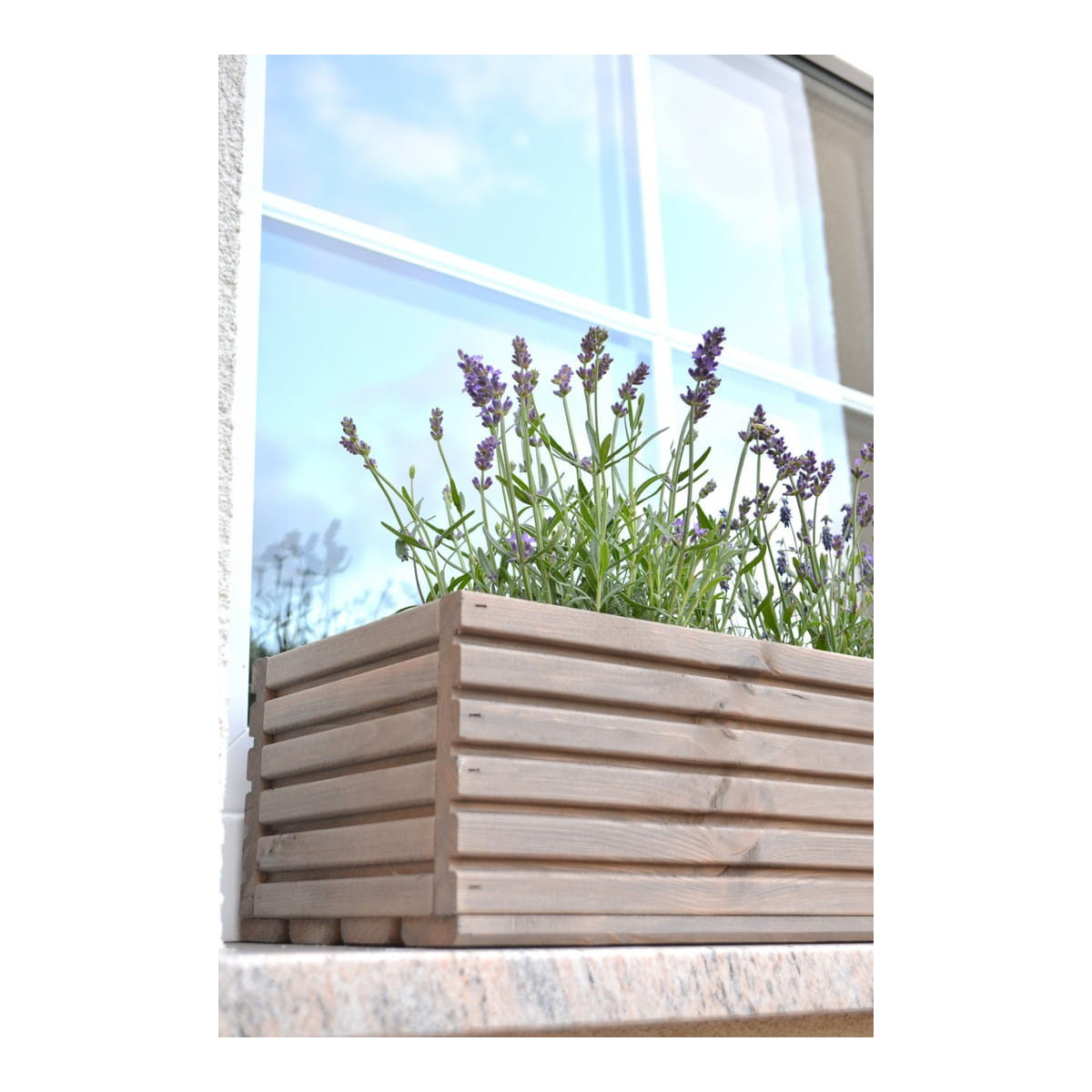 Ghiveci din lemn din lem de pin