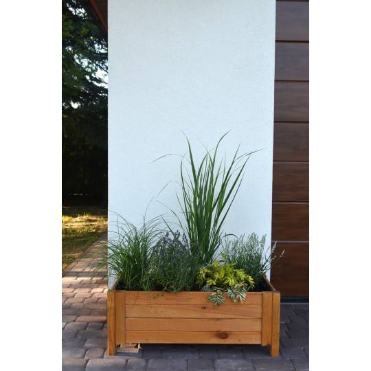 Ghiveci de calitate din lemn, de culoare bej deschis