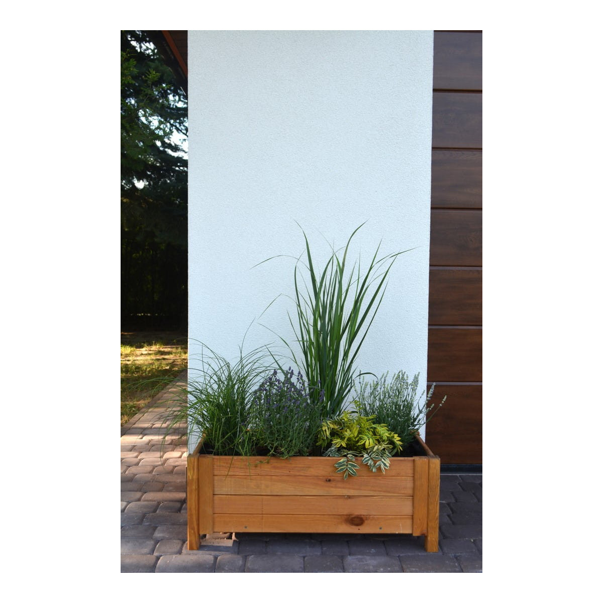 Ghiveci de calitate din lemn, de culoare bej deschis