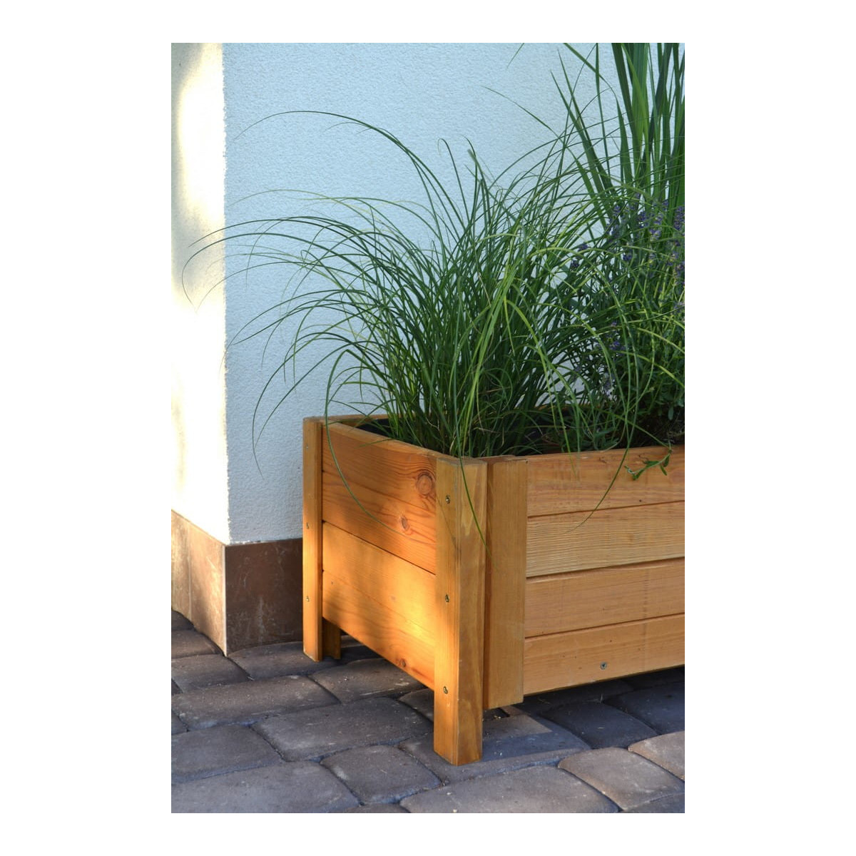 Ghiveci de calitate din lemn, de culoare bej deschis