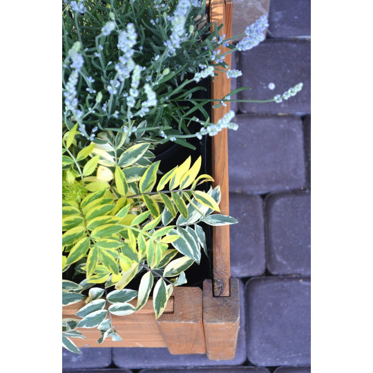 Ghiveci de calitate din lemn, de culoare bej deschis