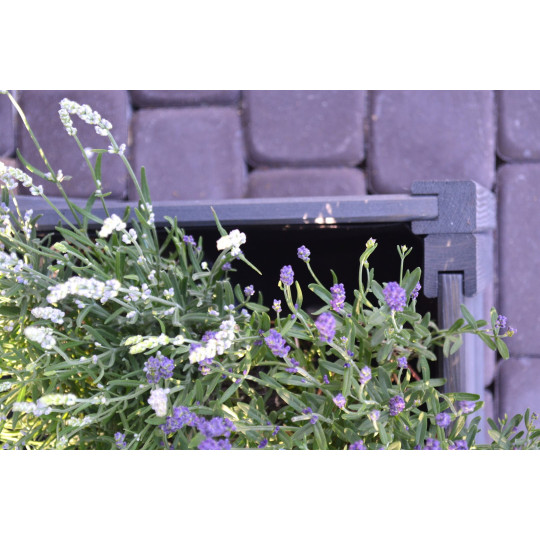 Ghivece din lemn pentru terasă de culoare gri închis