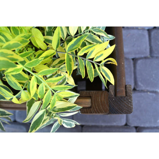 Elegant vas în culoare maro, 80 cm