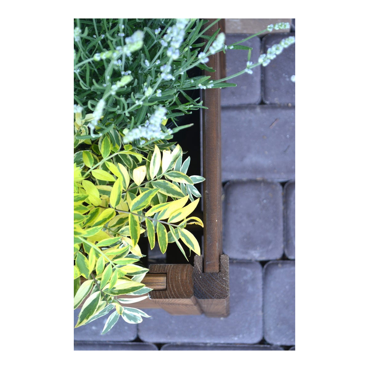 Elegant vas în culoare maro, 80 cm