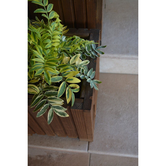 Vază din lemn de pin, de culoare maro închis.