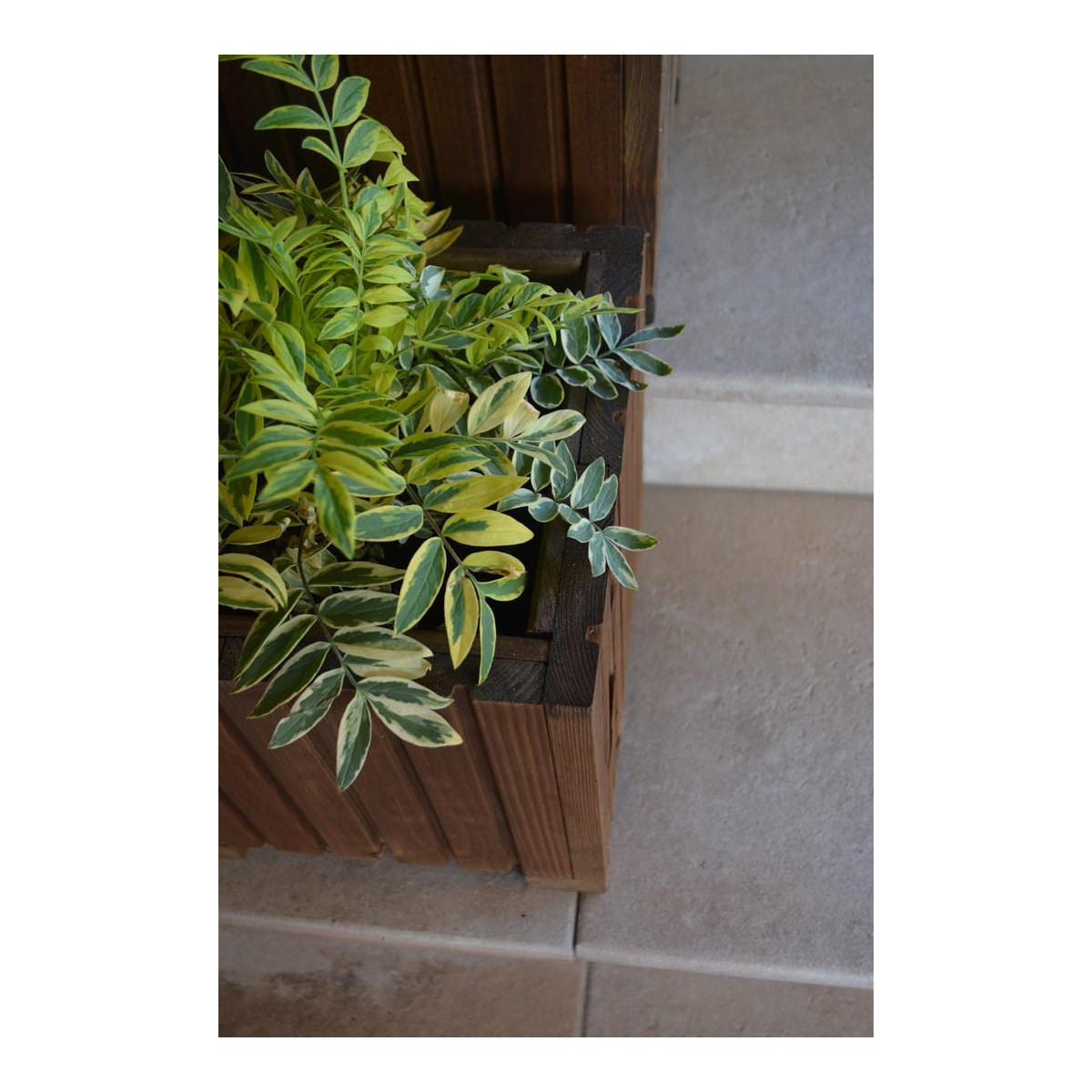 Vază din lemn de pin, de culoare maro închis.