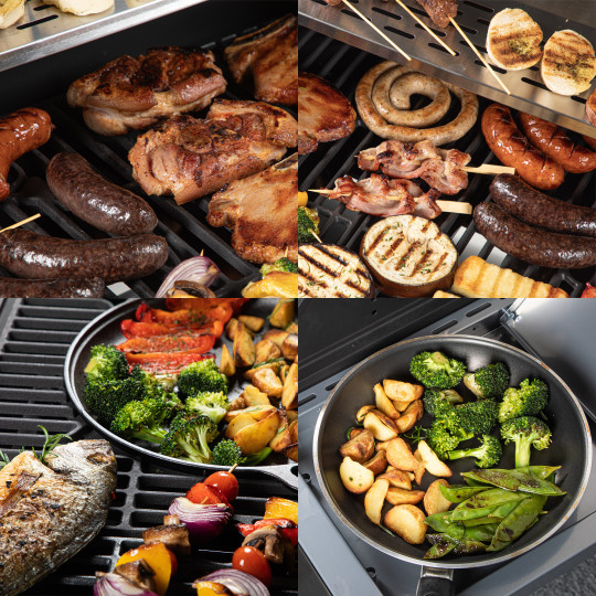 Grătar pe gaz dragON BBQ201, cu o putere de 18,8 kW, argintiu, cu termometru și capac.