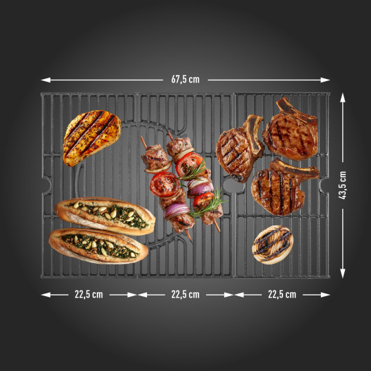 Grătar pe gaz dragON BBQ201, cu o putere de 18,8 kW, argintiu, cu termometru și capac.
