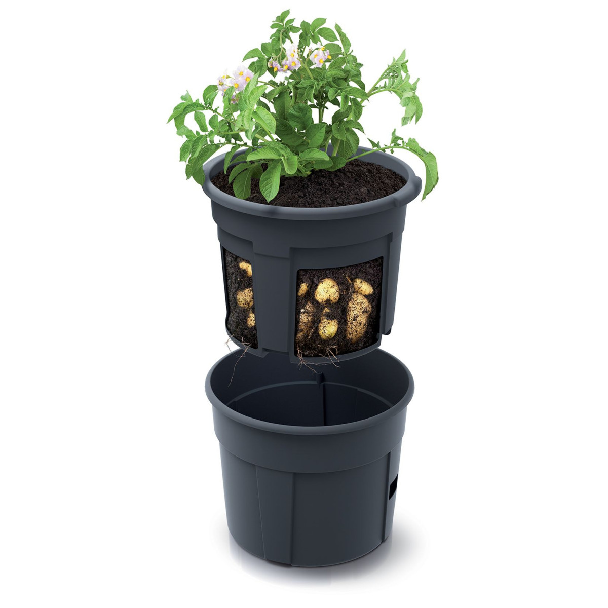 Ghiveci pentru cultivarea cartofilor pe balcon, 392x316 mm