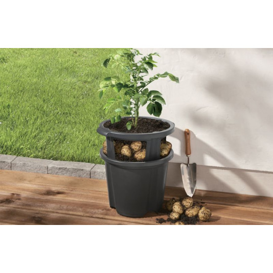 Vază pentru cartofi de culoare neagră, 35x28 cm