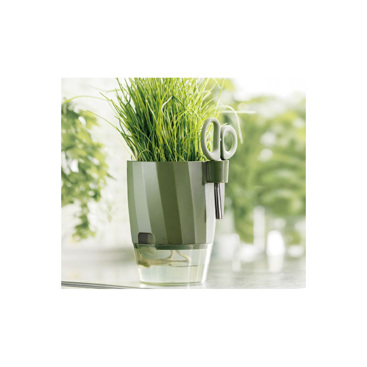 Ghiveci pentru cultivarea plantelor aromatice cu foarfece, 15,5x12,5x16 cm