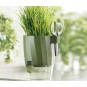 Ghiveci pentru cultivarea plantelor aromatice cu foarfece, 15,5x12,5x16 cm