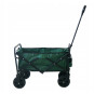 Vehicul turistic de plajă de culoare verde 120L, 100 kg