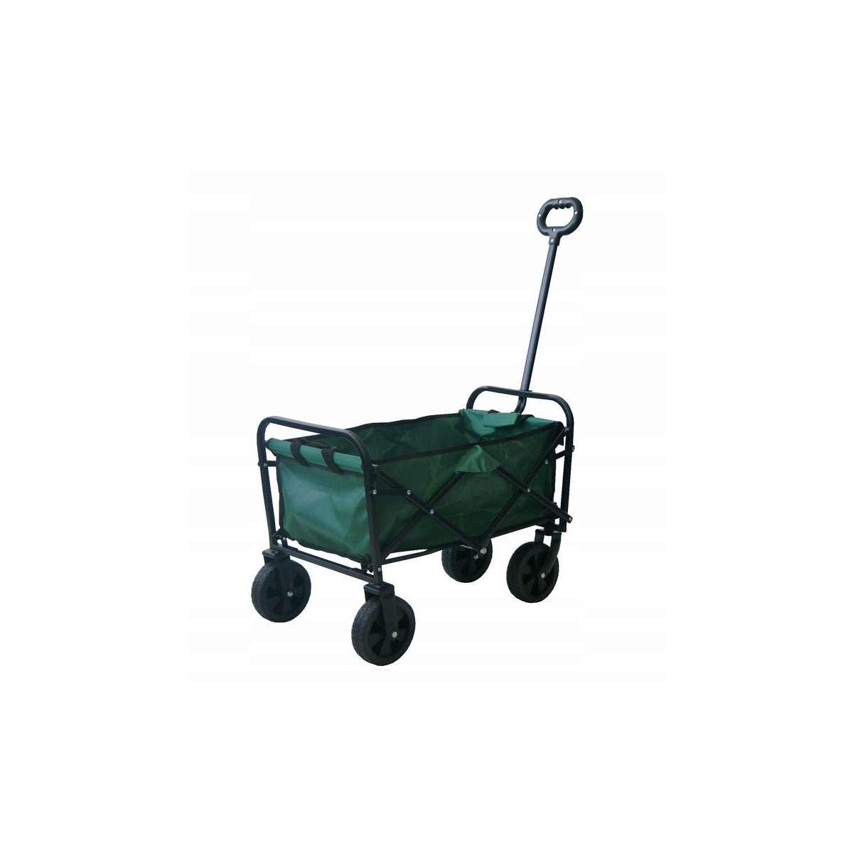 Vehicul turistic de plajă de culoare verde 120L, 100 kg