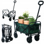 Vehicul turistic de plajă de culoare verde 120L, 100 kg