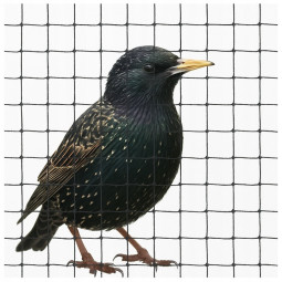 rețea de protecție împotriva păsărilor – ochi fin 13 mm, 8x8 m