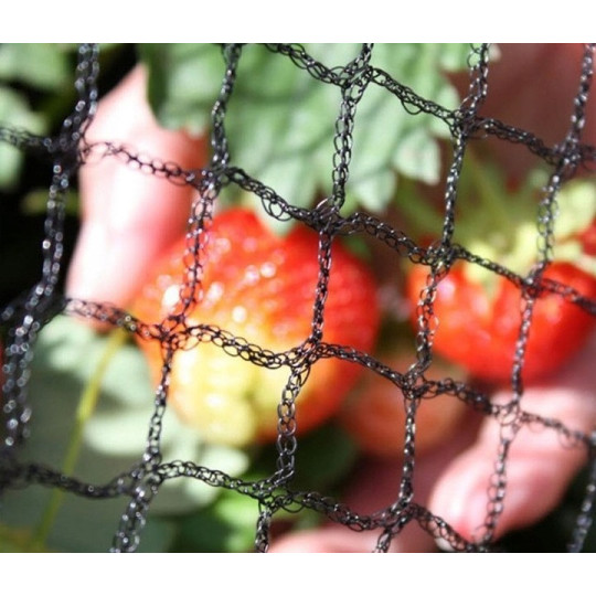 Rețea de protecție pentru pomi fructiferi și arbuști – 8x20 m, neagră