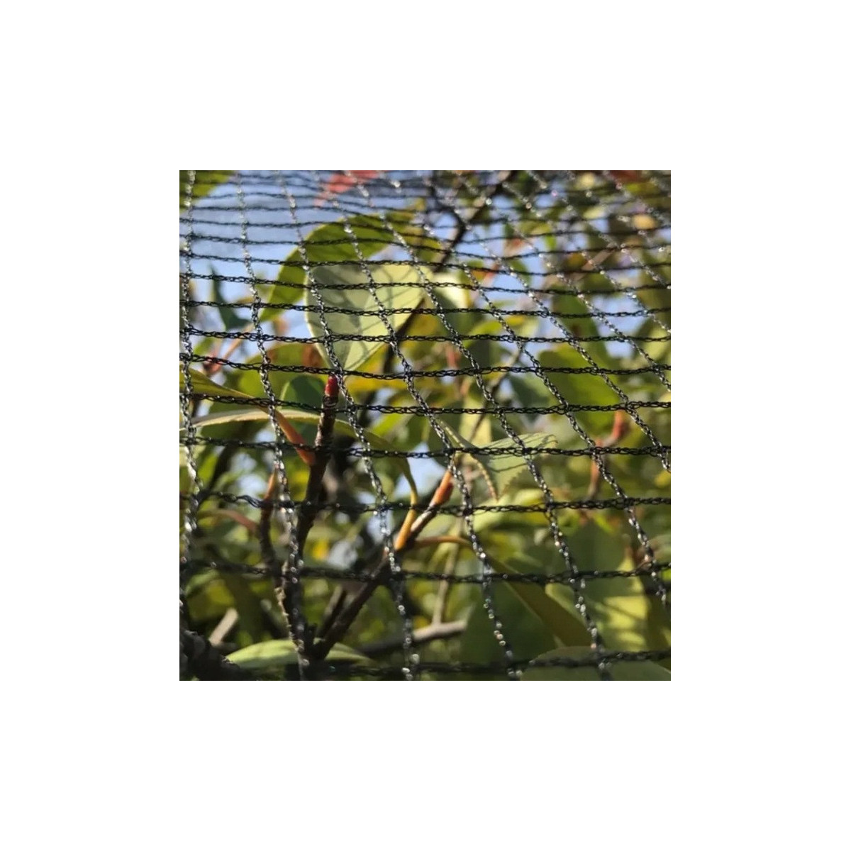 Rețea împotriva porumbeilor pentru balcon – neagră 10x10 m