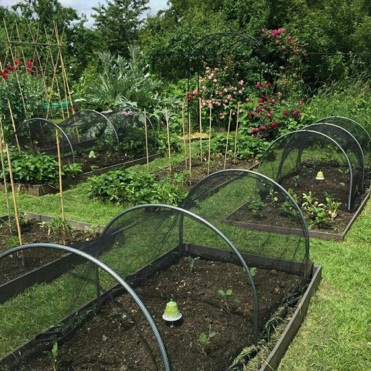 Rețea universală pentru protecția plantelor și a locuinței – 20x20 m