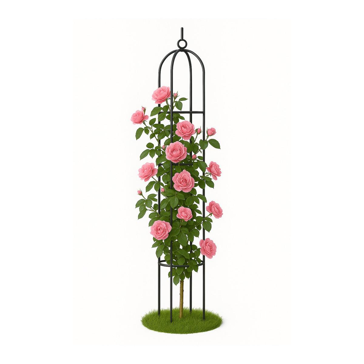 Pergolă metalică pentru trandafiri, 195 cm