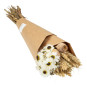 Buchet de flori uscate Poppy – mac, floare de pai și grâu