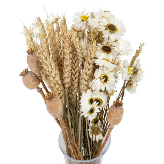 Buchet de flori uscate Poppy – mac, floare de pai și grâu