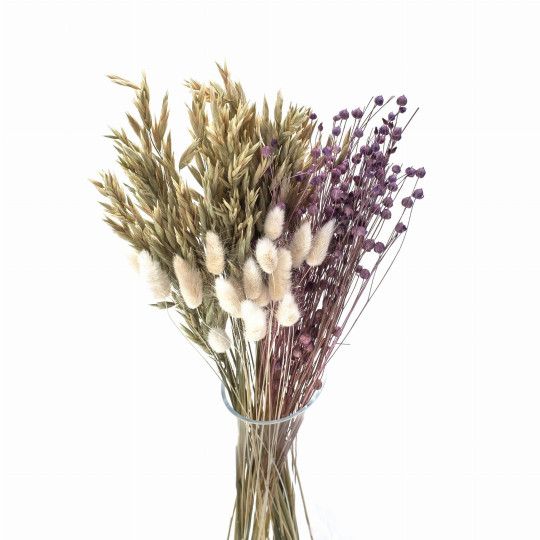 Sada uschaté flori Liliac – in, ovăz, lagurus