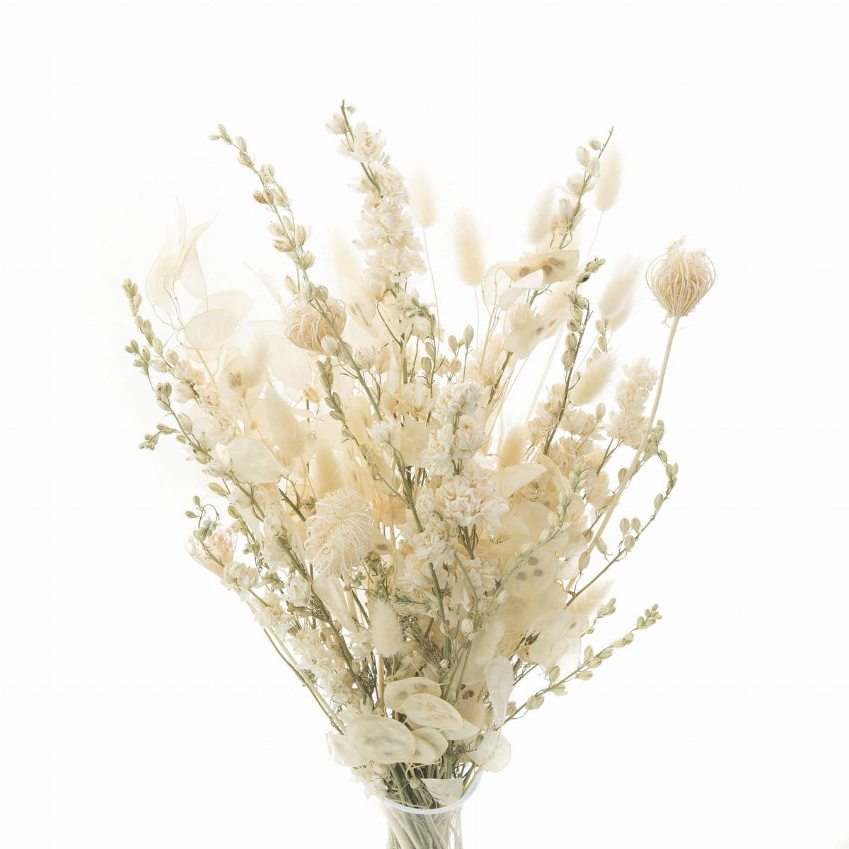 Sušená kytica Cream do vázy – elegantná prírodná dekorácia