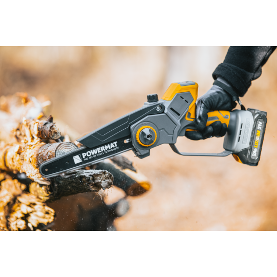 Profi feron cu acumulator PM-MPA-2AHM la un preț super!