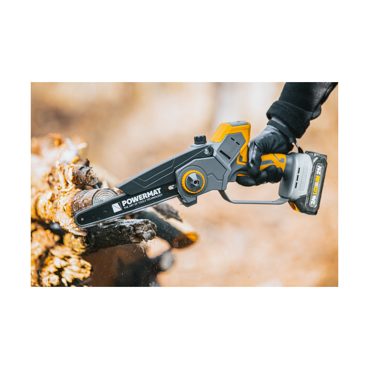 Profi feron cu acumulator PM-MPA-2AHM la un preț super!