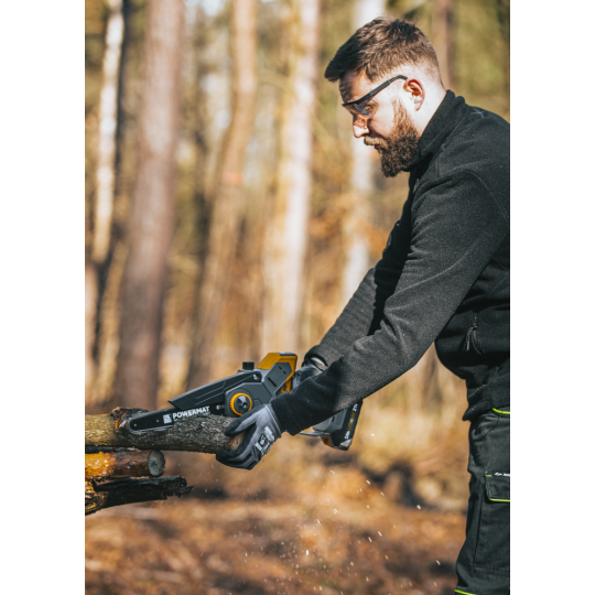 Profi feron cu acumulator PM-MPA-2AHM la un preț super!